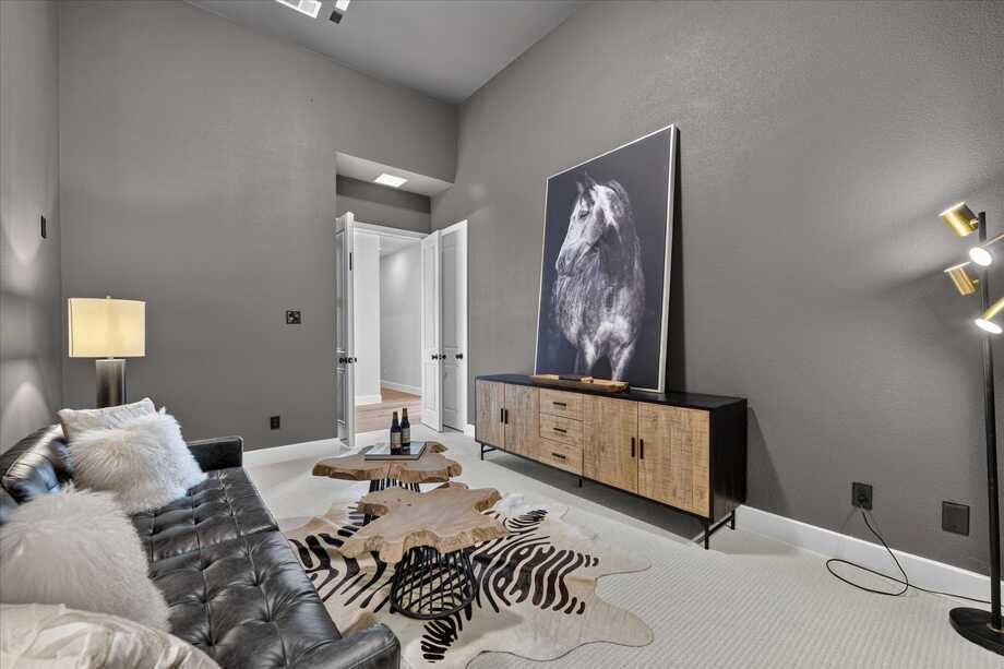 Entertainment Room