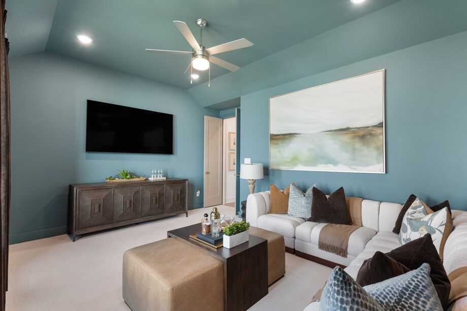 Entertainment Room