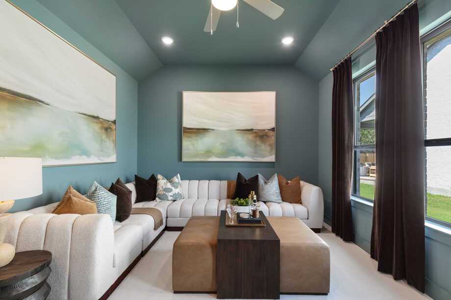 Entertainment Room