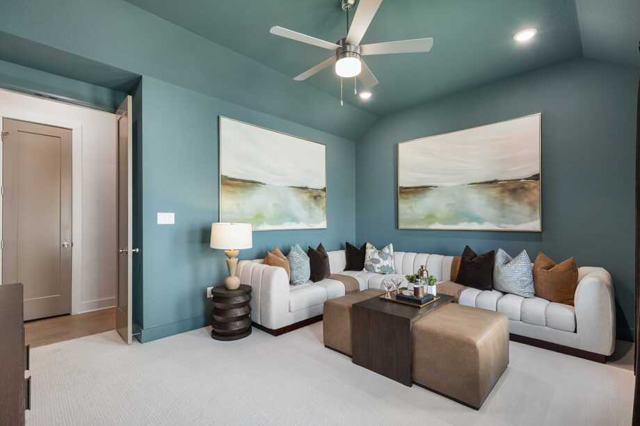 Entertainment Room