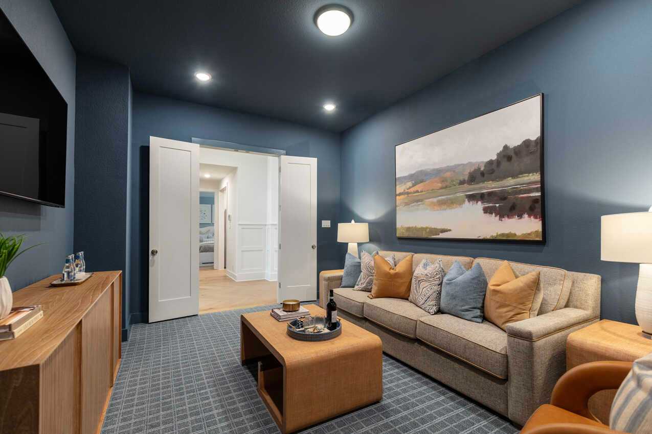 Entertainment Room