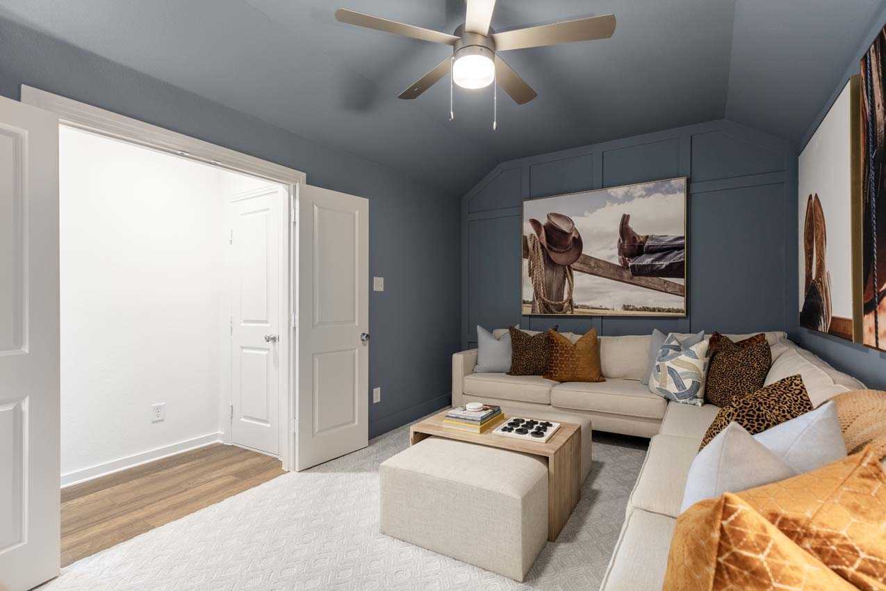 Entertainment Room