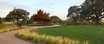 casa en Wolf Ranch: 51ft. lots por Highland Homes