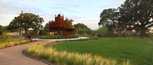 Wolf Ranch: 46ft. lots - Georgetown, TX