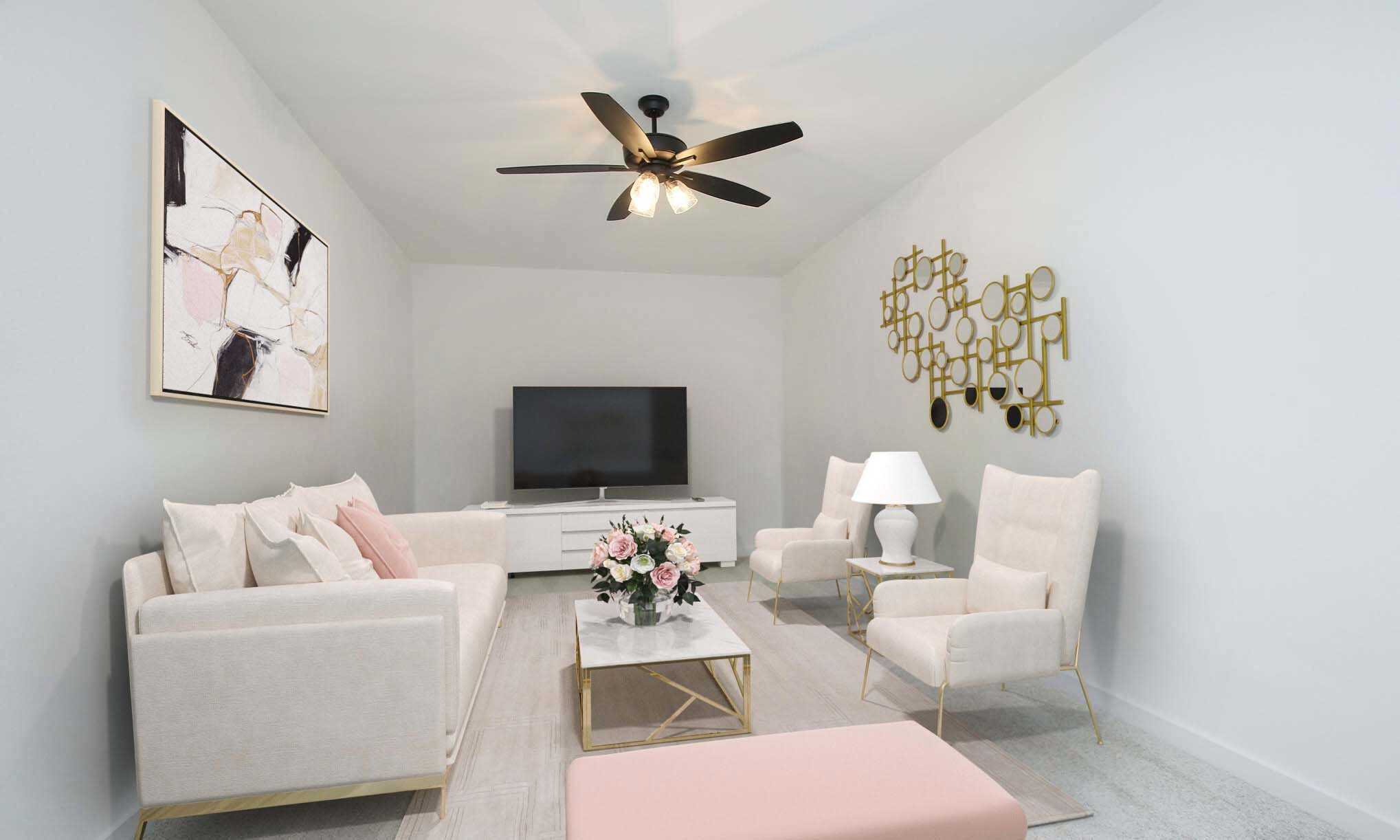 Entertainment Room