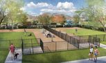 Bel Air Village: 50ft. lots - Sherman, TX