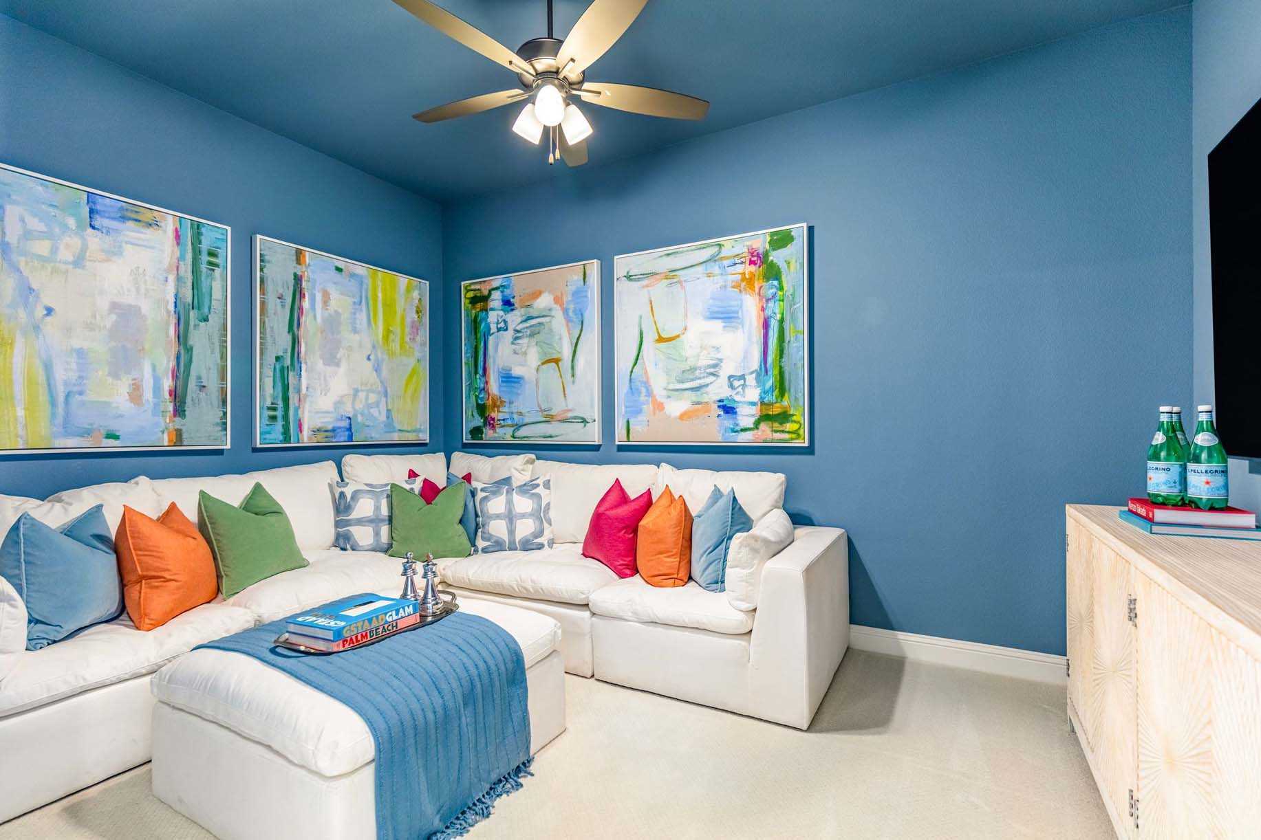 Entertainment Room