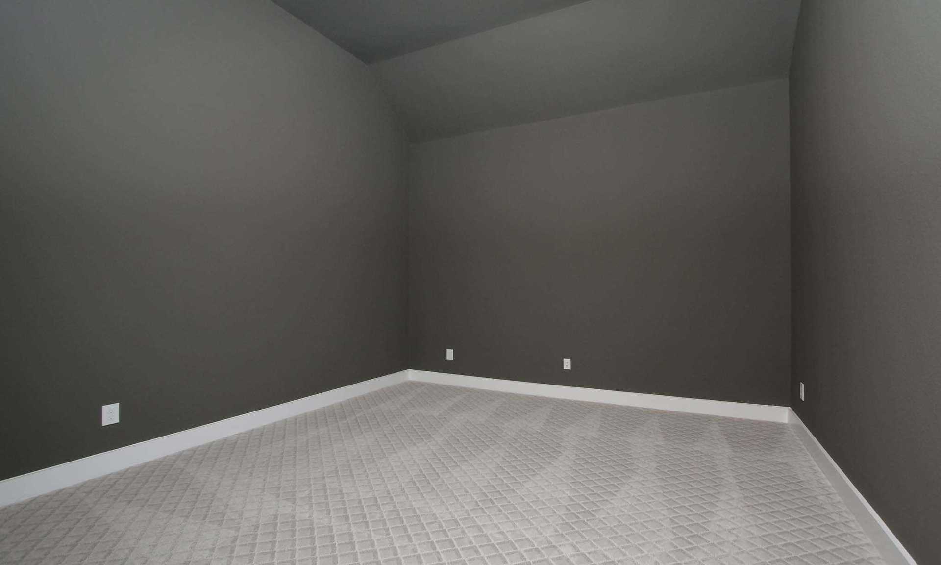 Entertainment Room