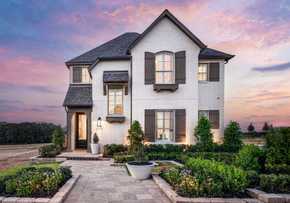 Veramendi: 40ft. Rear Entry - (A) - New Braunfels, TX