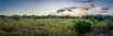 homes in Mayfair: 50ft. lots by Highland Homes
