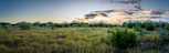 Mayfair: 50ft. lots - New Braunfels, TX