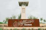 Wildflower Ranch: Artisan Series - 60ft. lots - Fort Worth, TX
