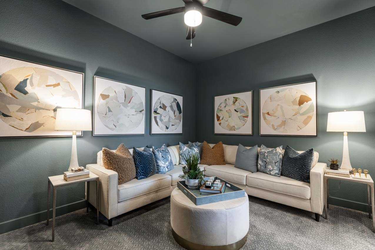Entertainment Room