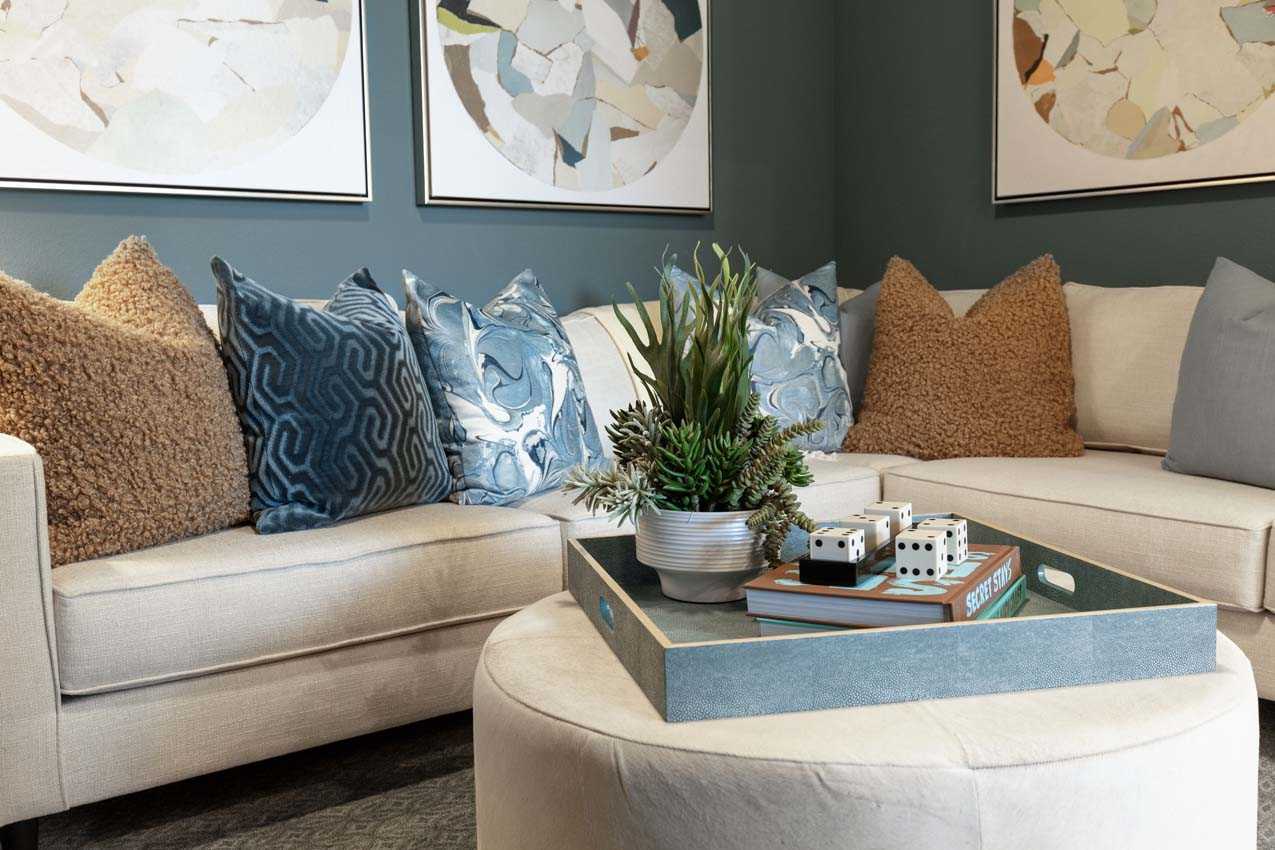 Entertainment Room