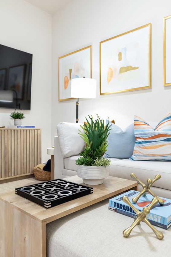 Entertainment Room