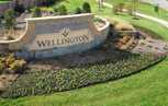 Wellington: Artisan Series - 50ft lots - Argyle, TX