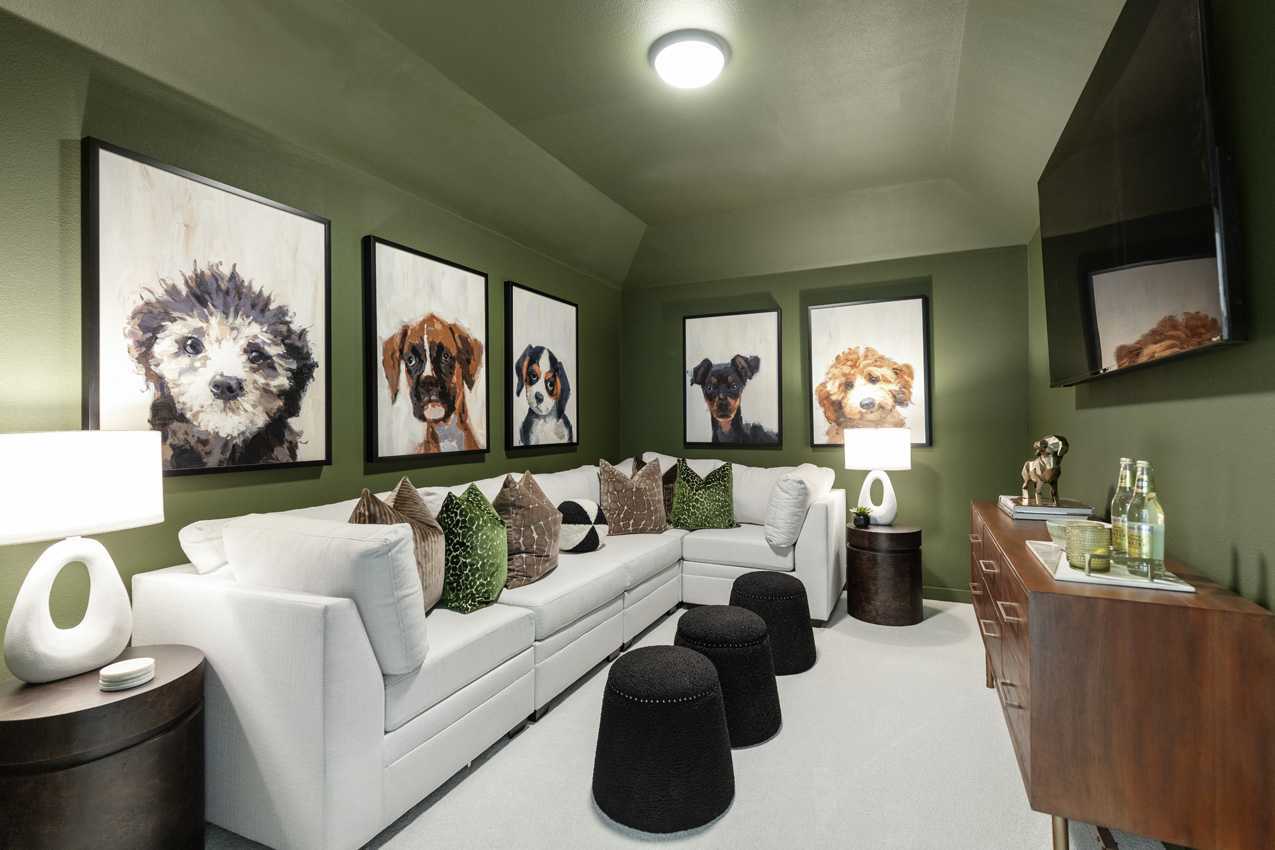 Entertainment Room