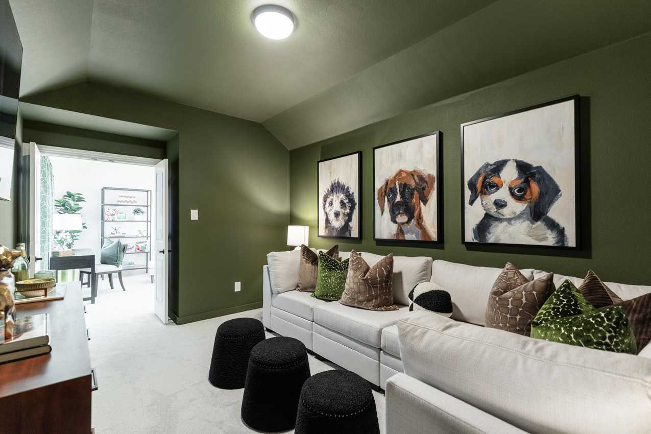 Entertainment Room