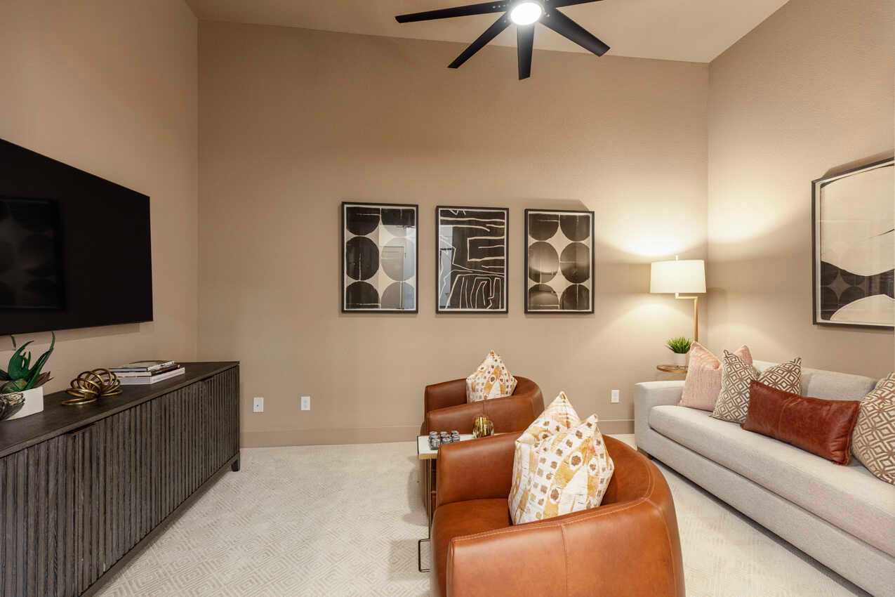 Entertainment Room