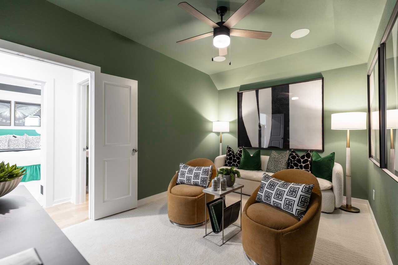 Entertainment Room