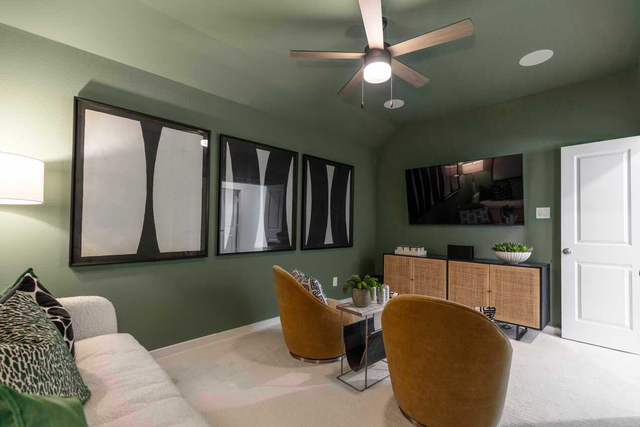 Entertainment Room