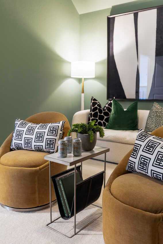 Entertainment Room