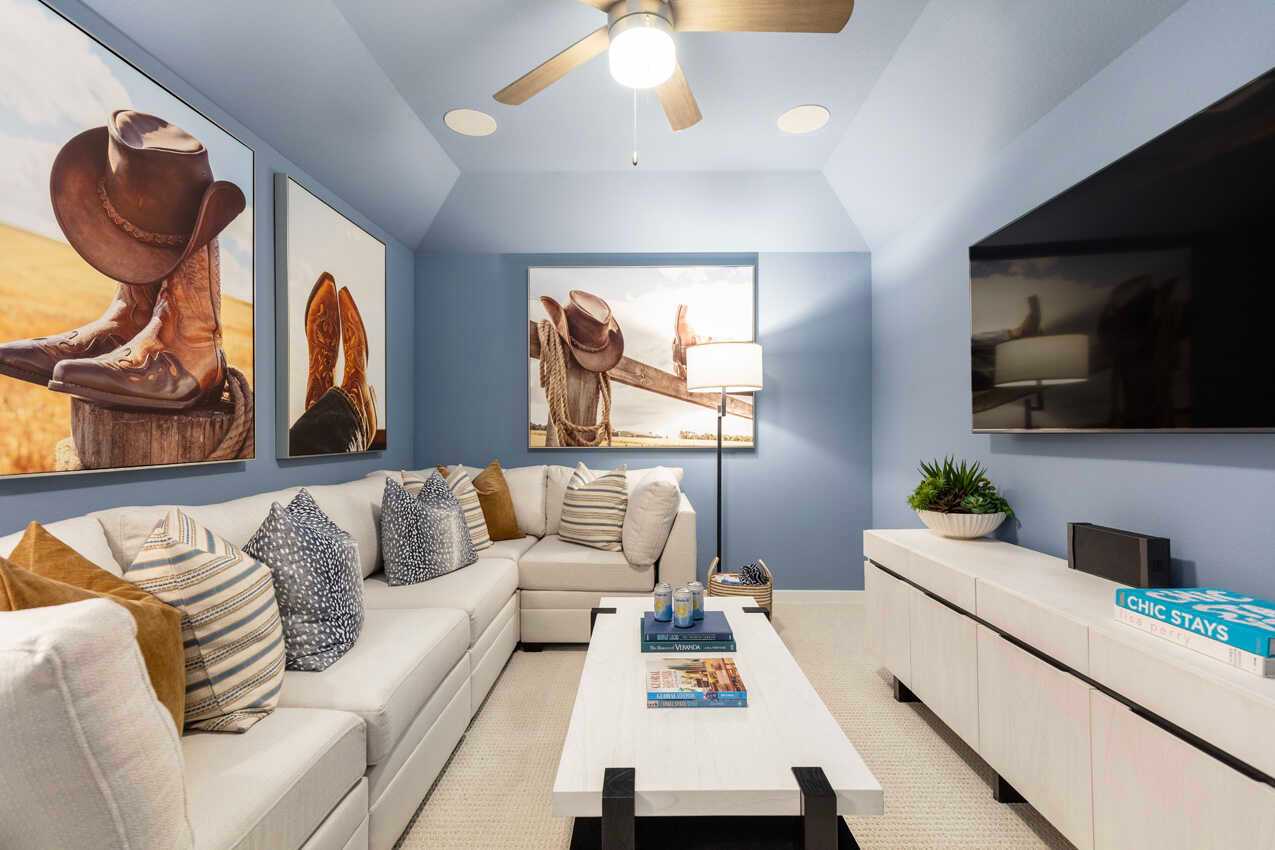 Entertainment Room