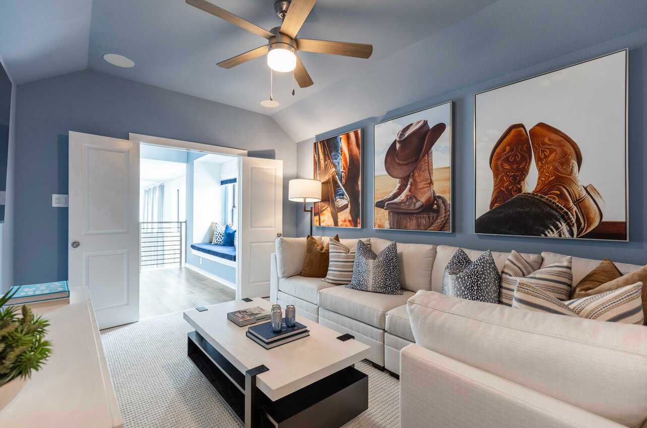 Entertainment Room