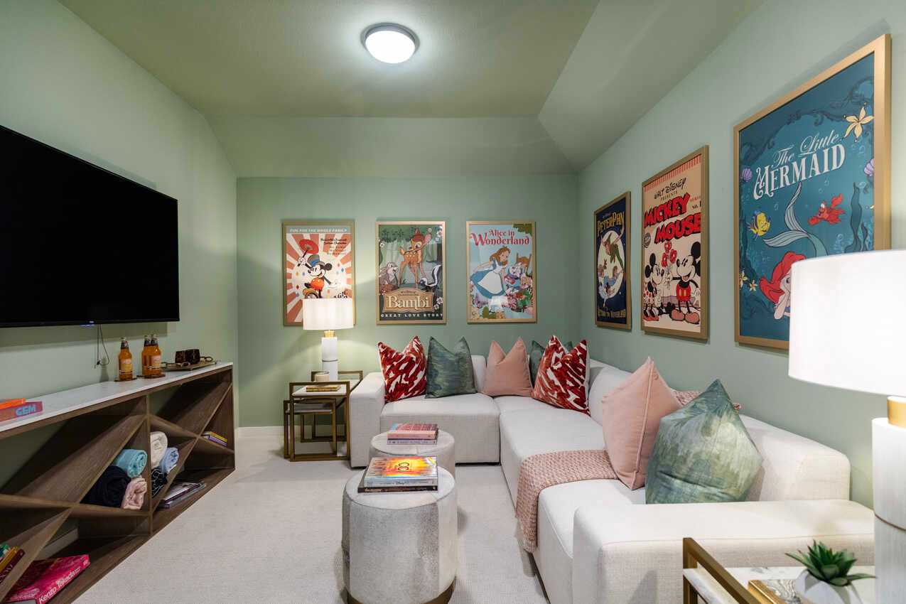 Entertainment Room