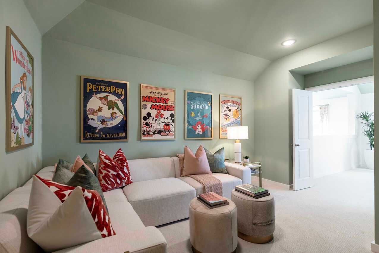 Entertainment Room