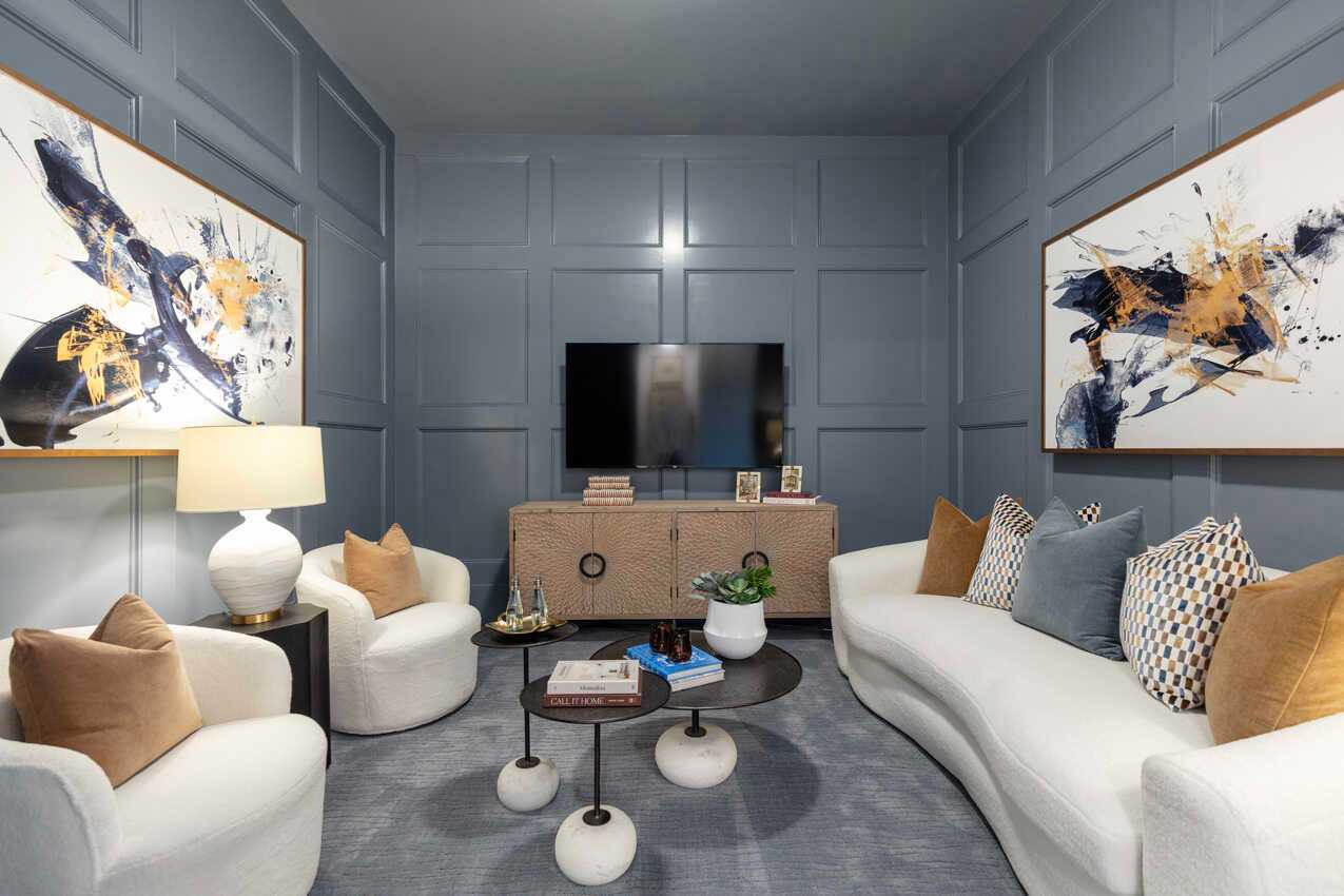 Entertainment Room
