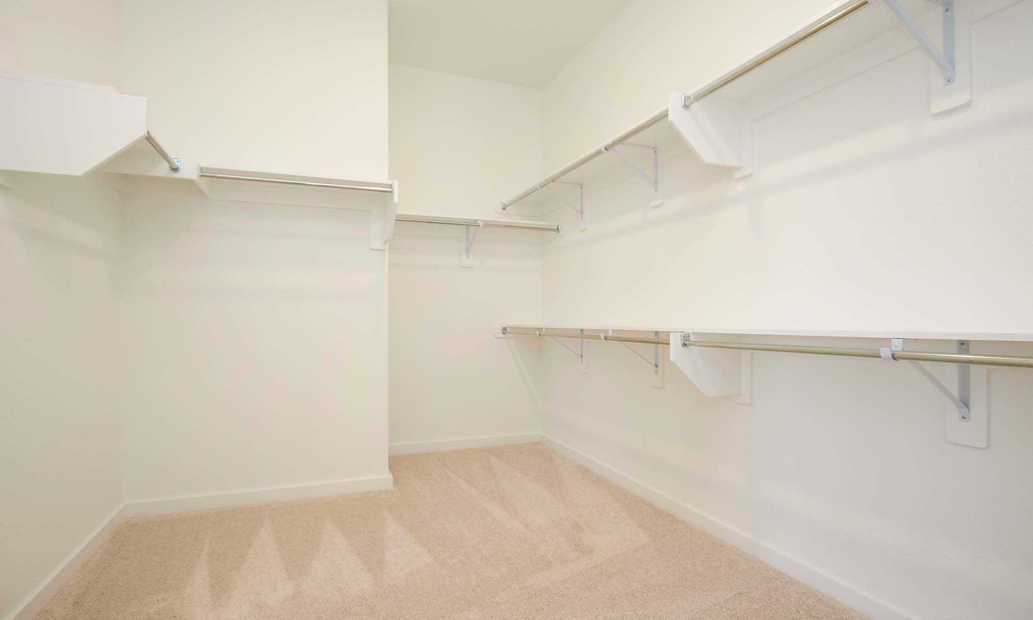 Primary Closet