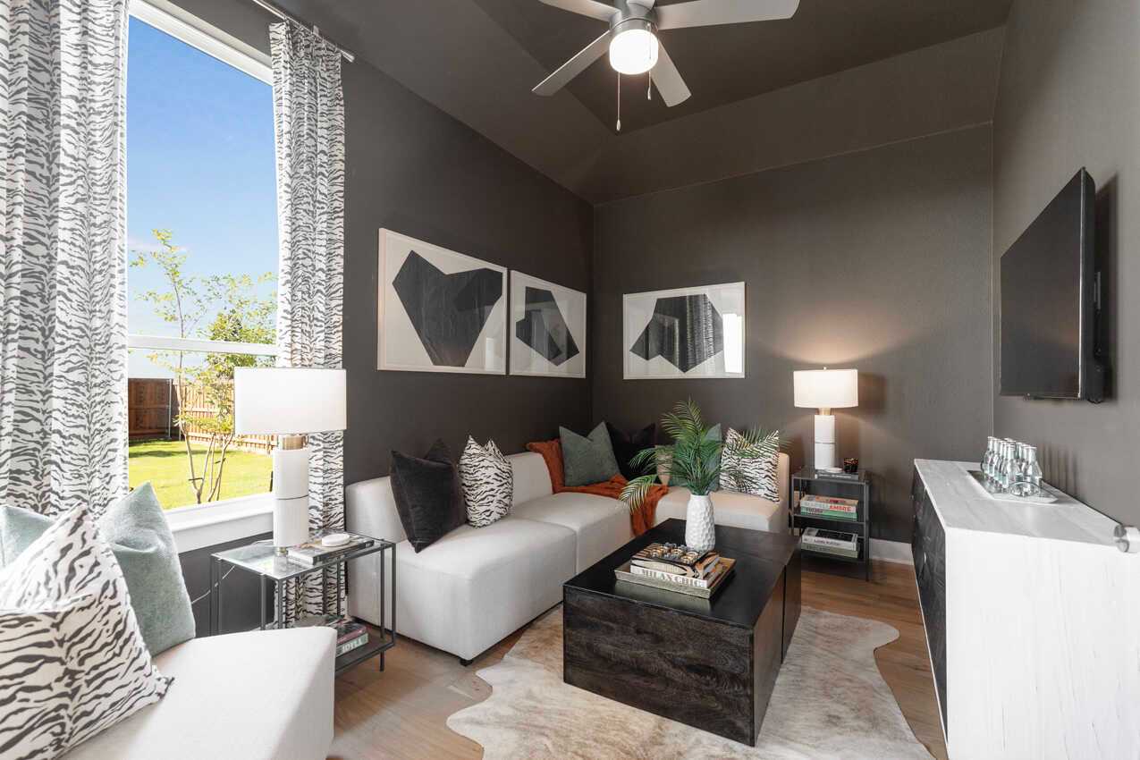 Entertainment Room