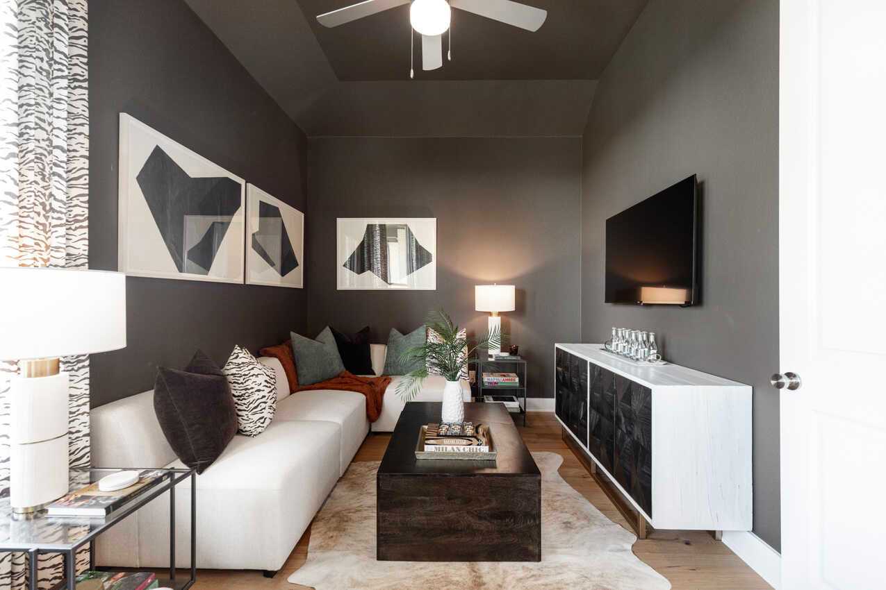 Entertainment Room