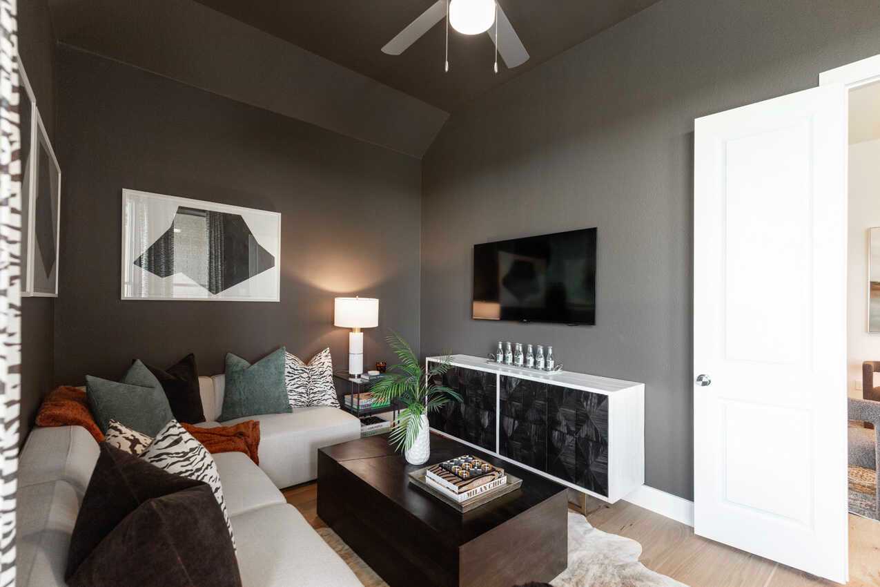 Entertainment Room