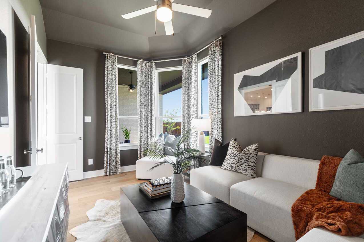 Entertainment Room