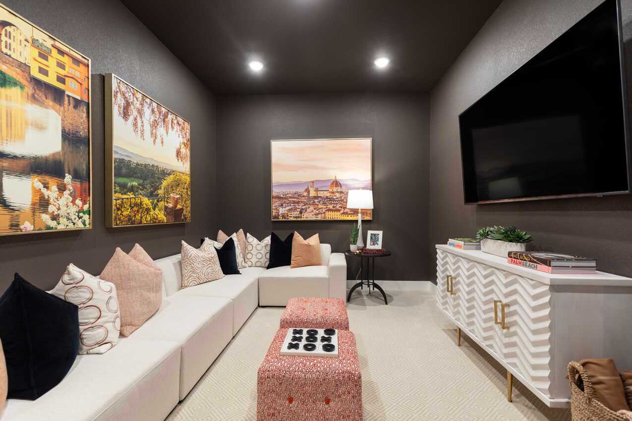 Entertainment Room
