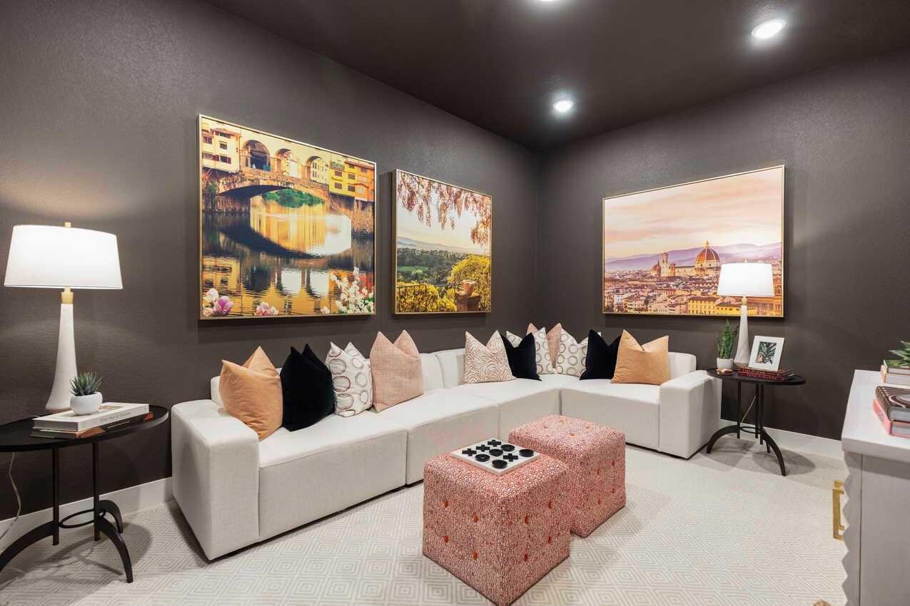 Entertainment Room