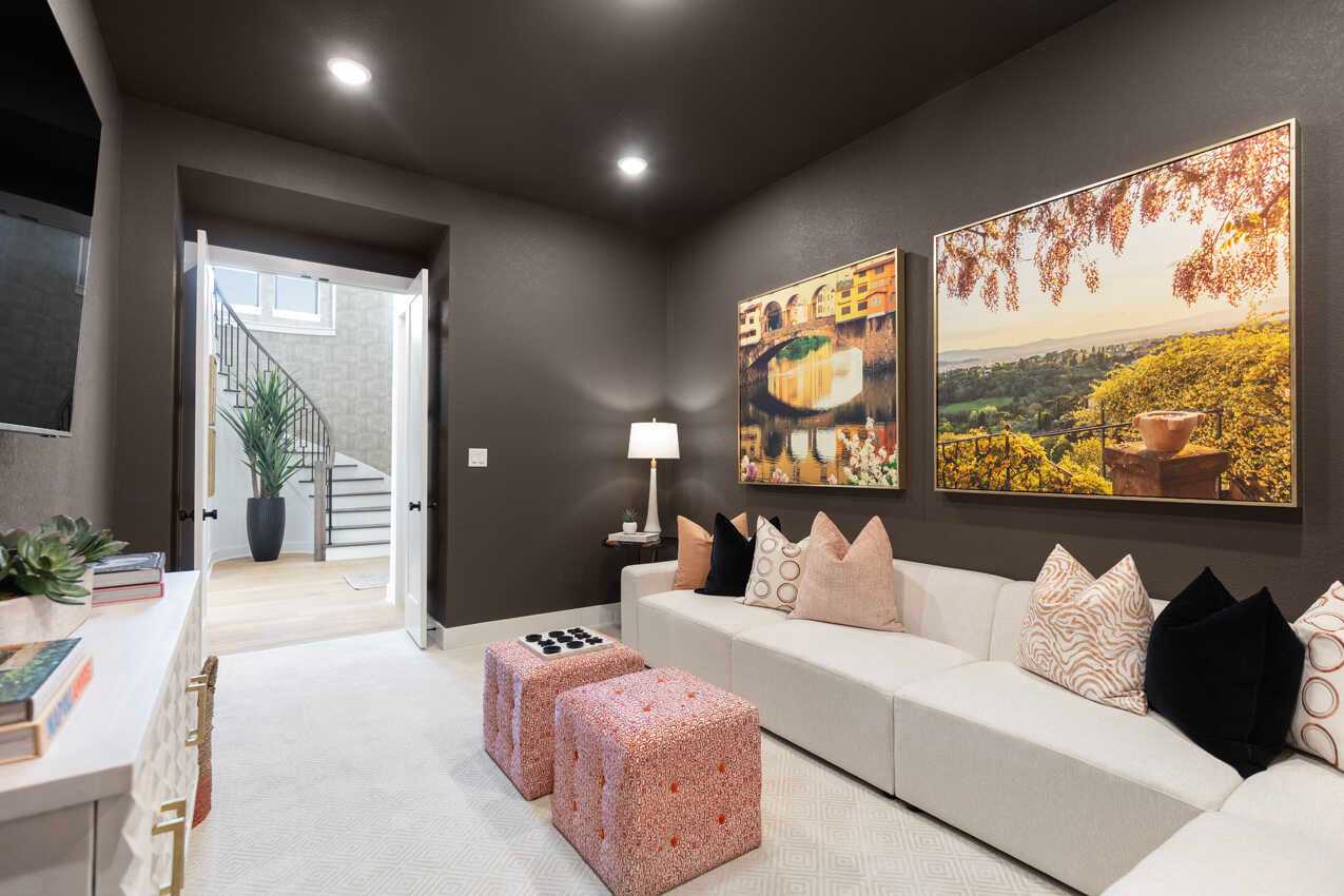 Entertainment Room