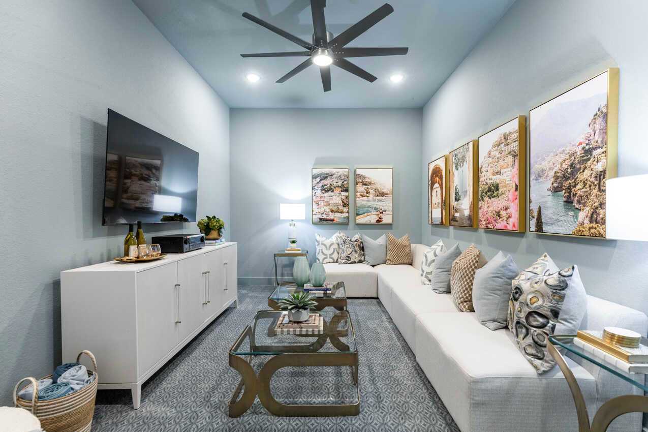 Entertainment Room
