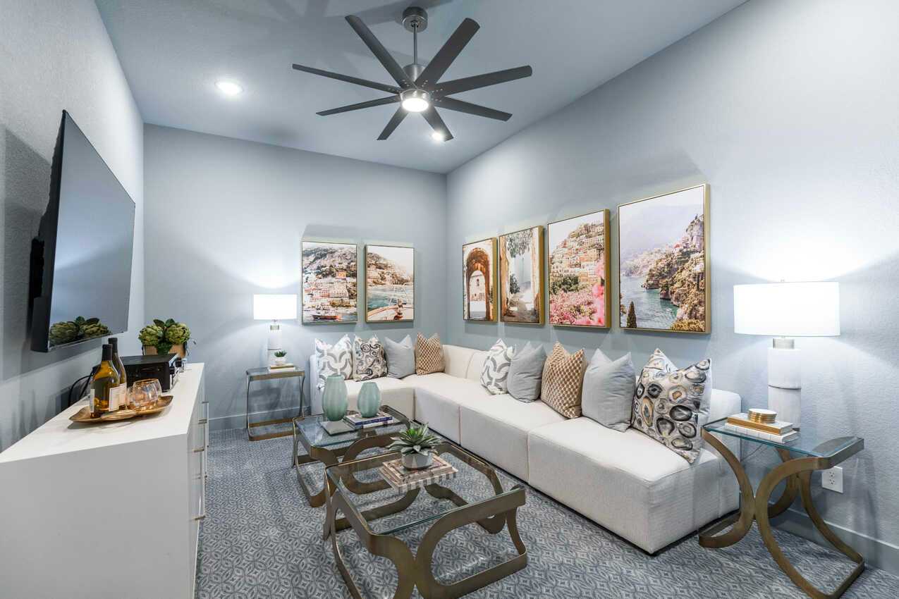Entertainment Room