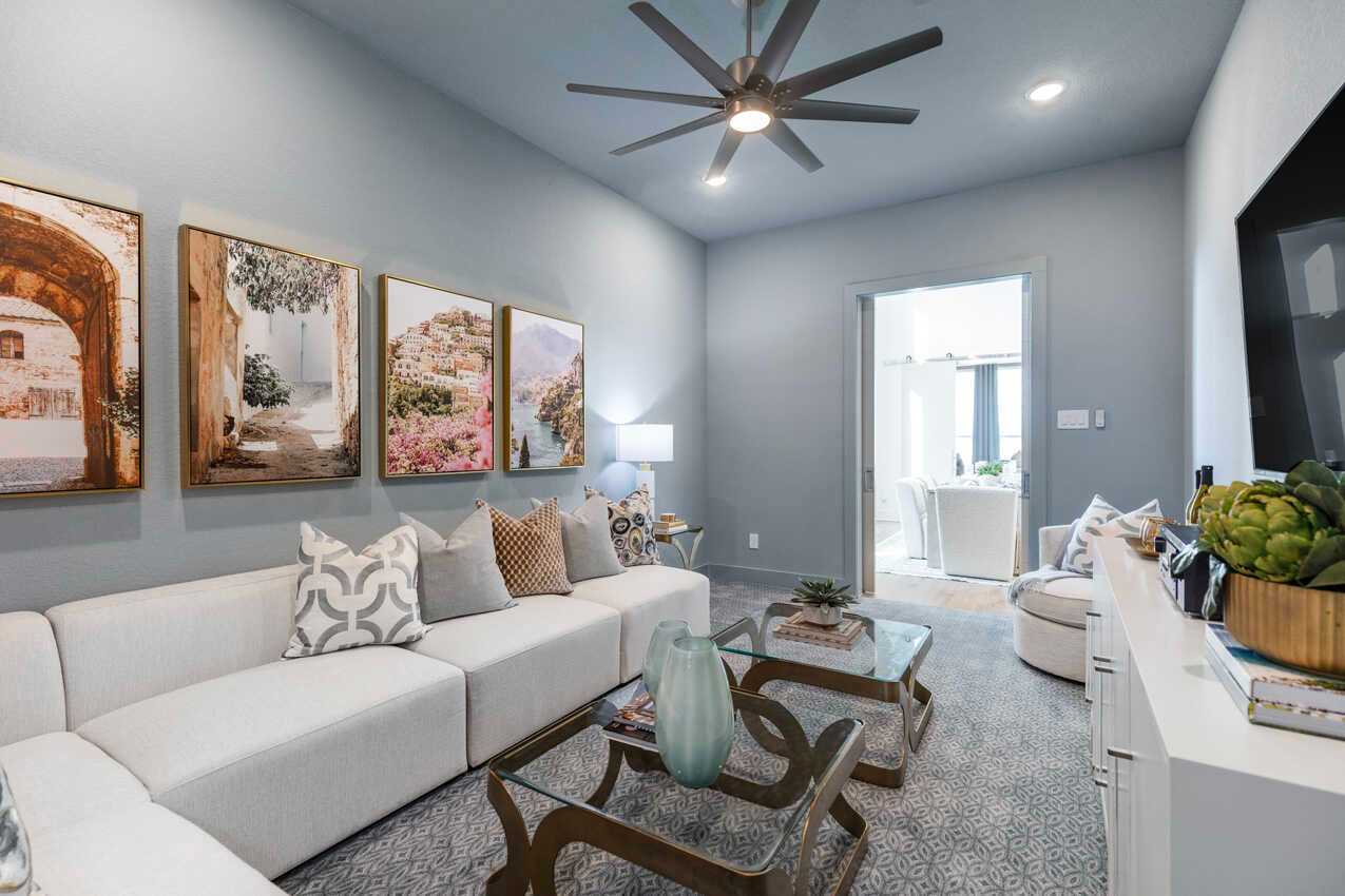Entertainment Room