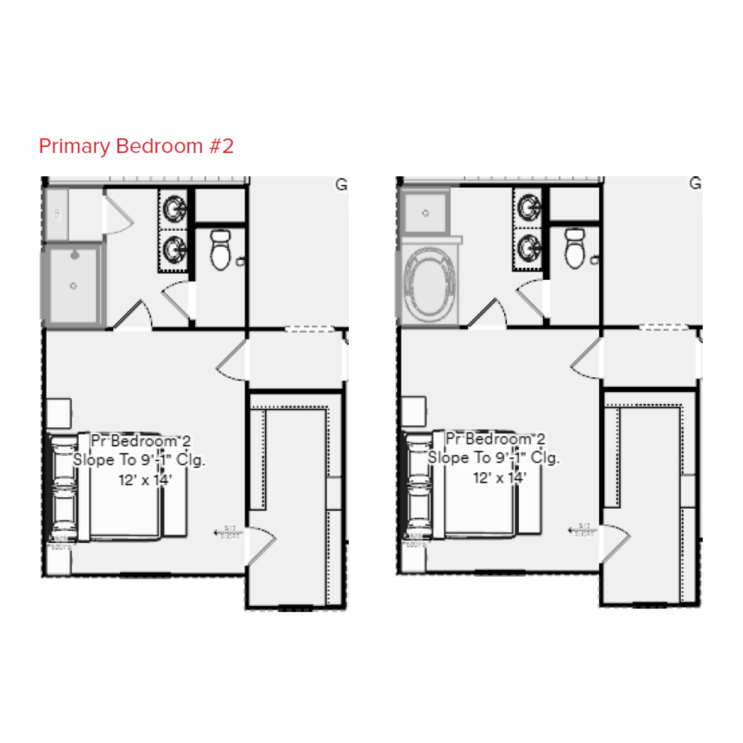 Grapevine Floorplan Additional Primary Suite Options