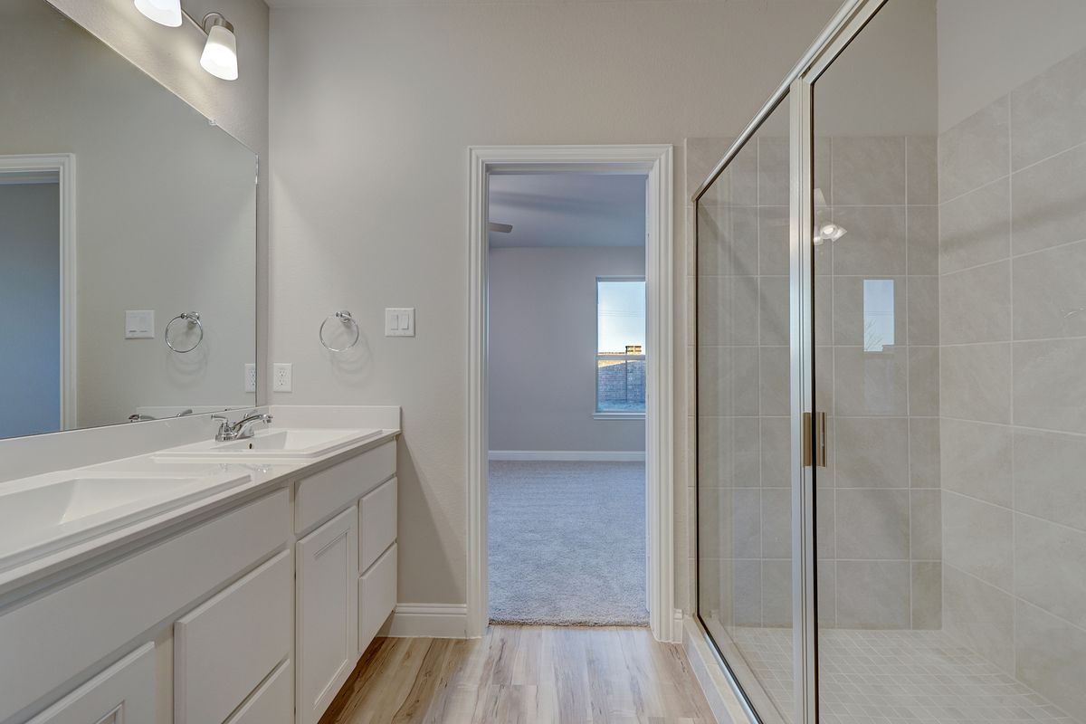 Redwood II 13