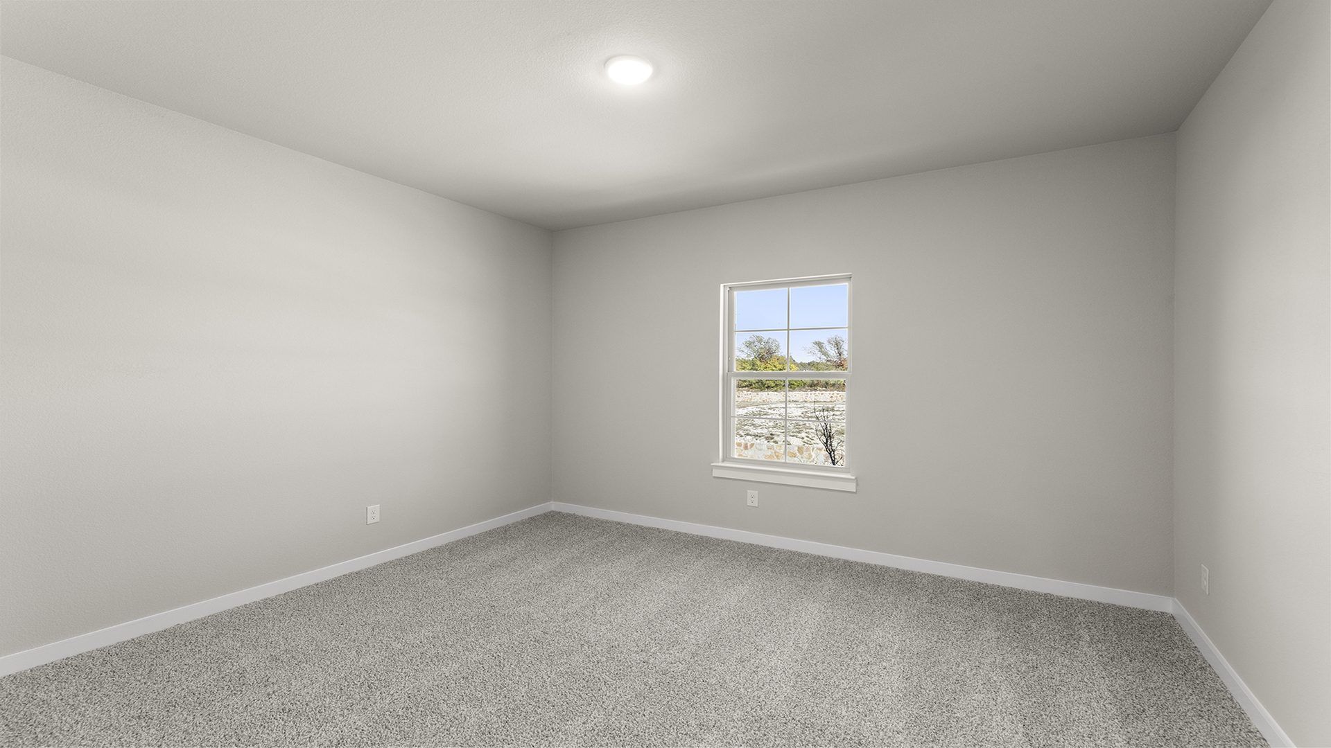 23_24. 1421 Tipperary - Bed 3