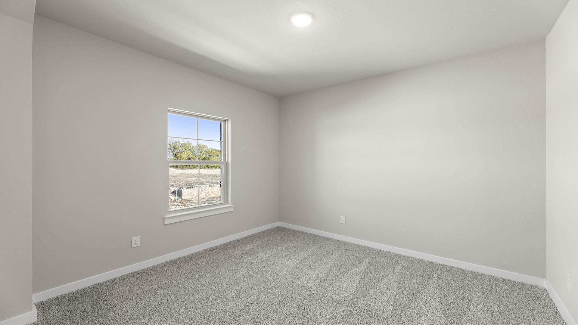 25_26. 1421 Tipperary - Bed 4