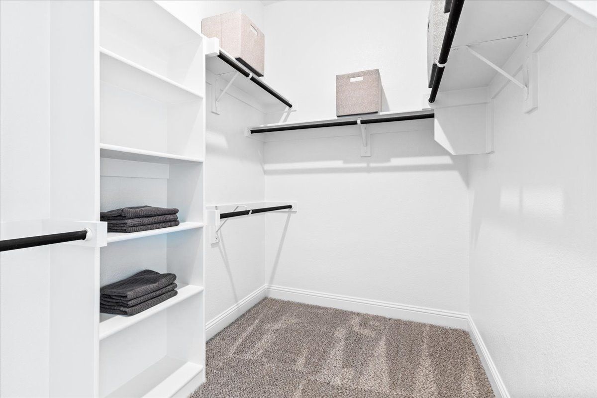 Hawthorn II Representative photo 12