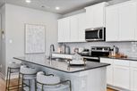 Mockingbird Estates Townhomes - Fort Worth, TX