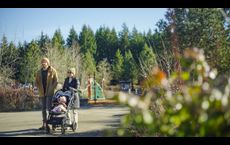 Willow Ridge: Beaverton, Oregon - Holt Homes