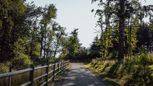 Scouters Mountain - Happy Valley, OR